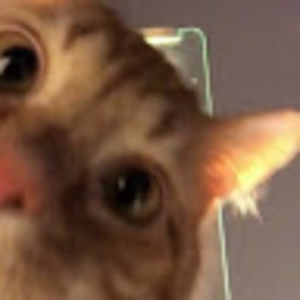 Meet your Posher, Brandy